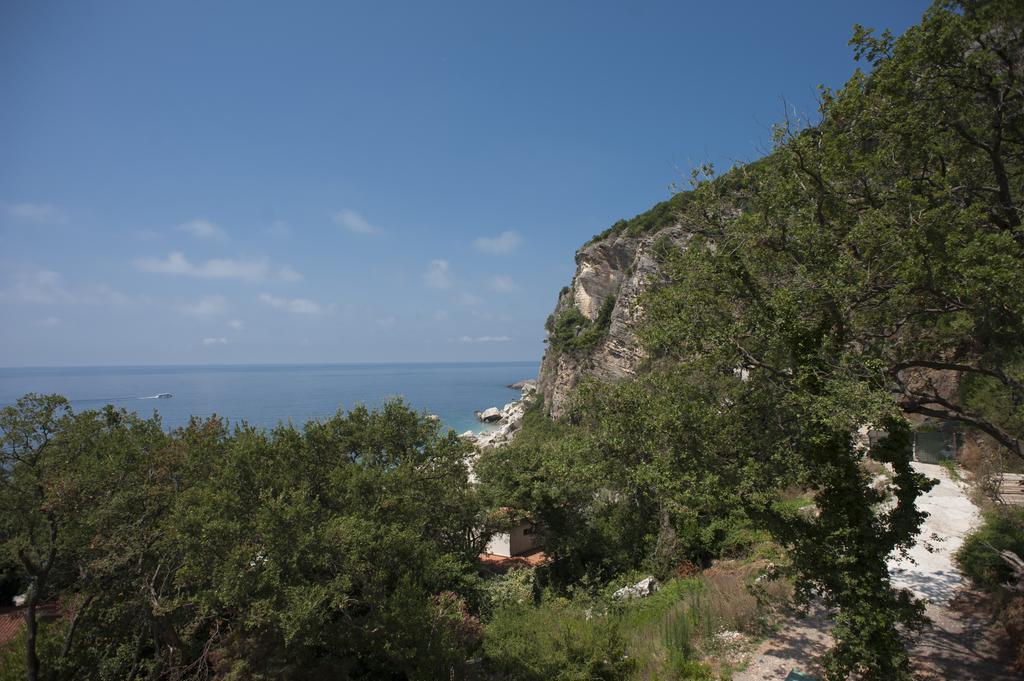 Apartments Villa Simonovic Petrovac na moru Exterior foto